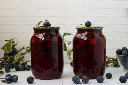 15 простых и вкусных рецептов компота из апельсинов для идеального напитка16