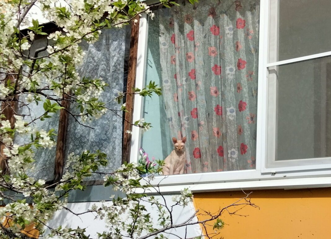 С сентября вступают в силу новые требования к остеклению балконов и лоджий0