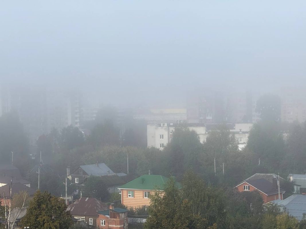 День Мамонта-овчарника 15 сентября: советы, как избежать бед и привлечь удачу0